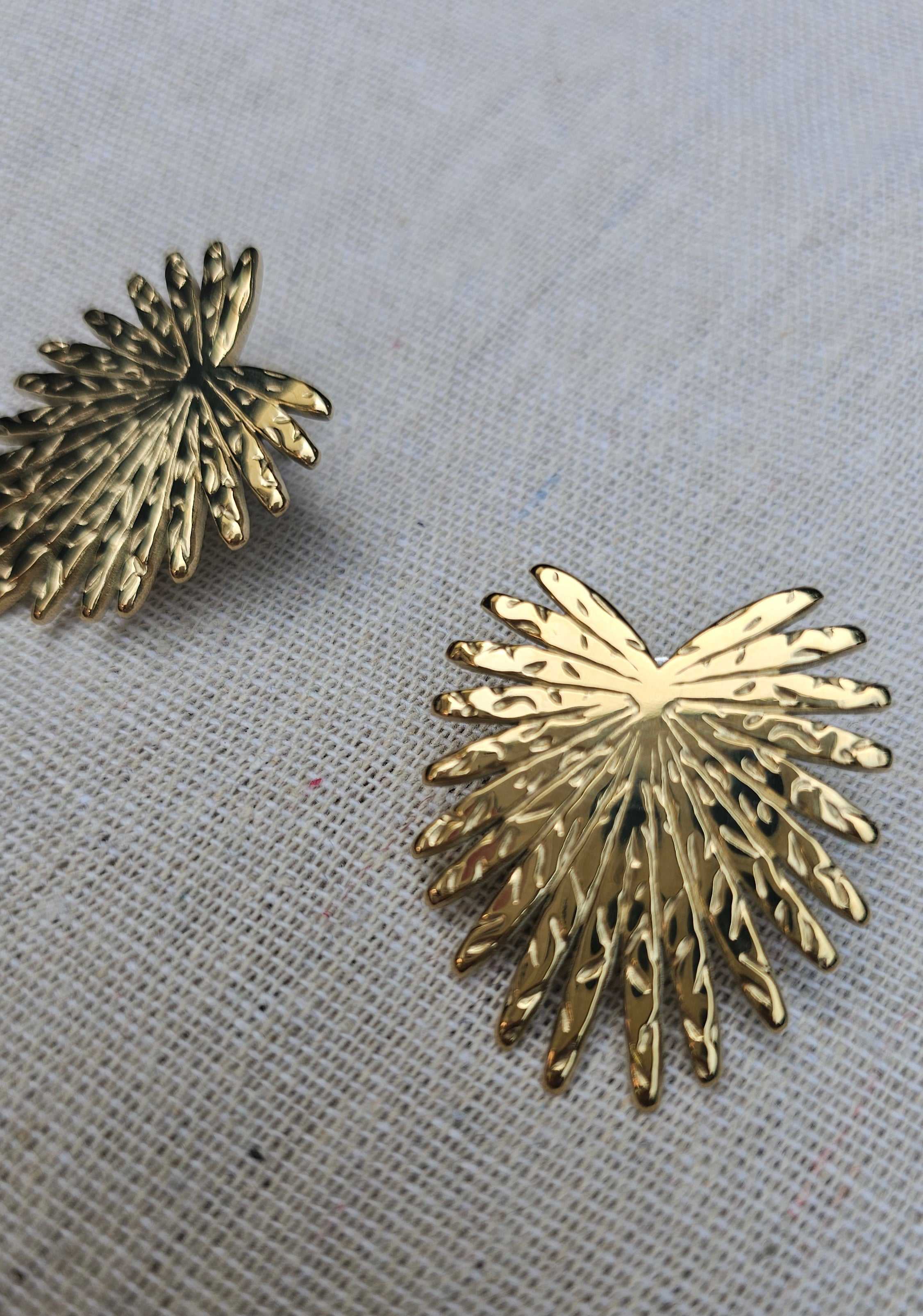 Boucles Palms