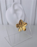 Boucles | FLORIS